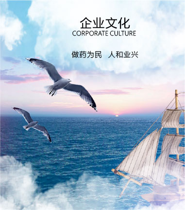 企業(yè)文化